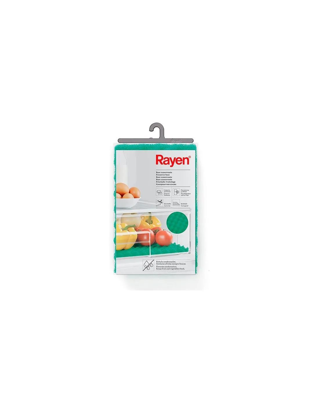 RAYEN BASE CONSERVANTE