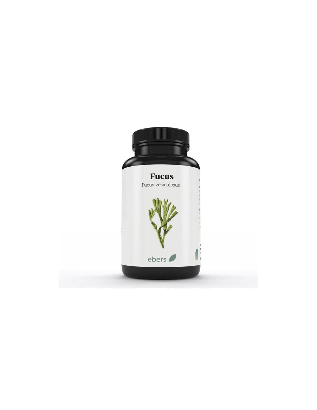 Ebers Fucus 100 Comprimidos 500 mg